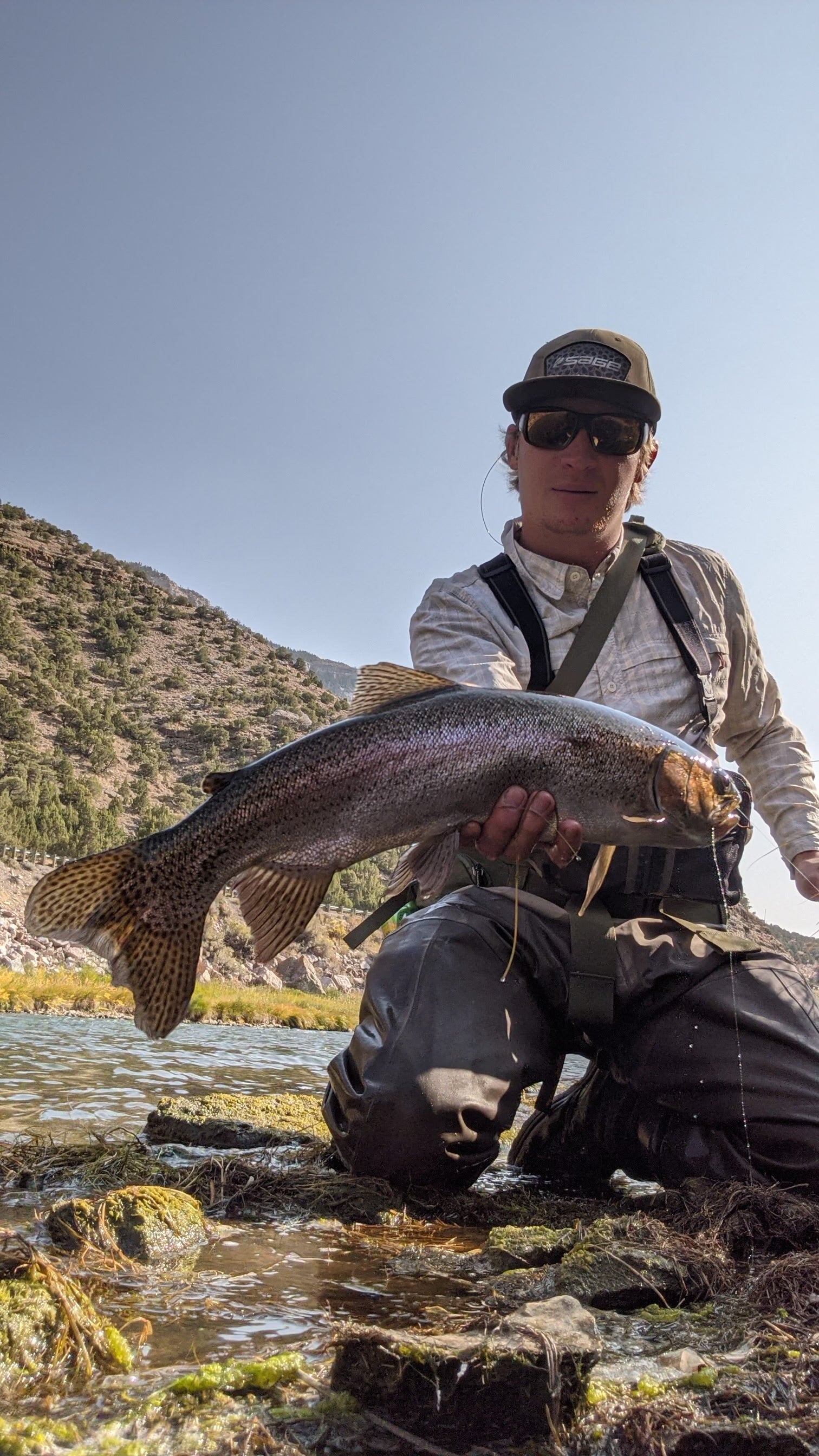 colorado lure fishing spots River Watershed Map & Public Access Guide Top Fly Fishing Locations Near