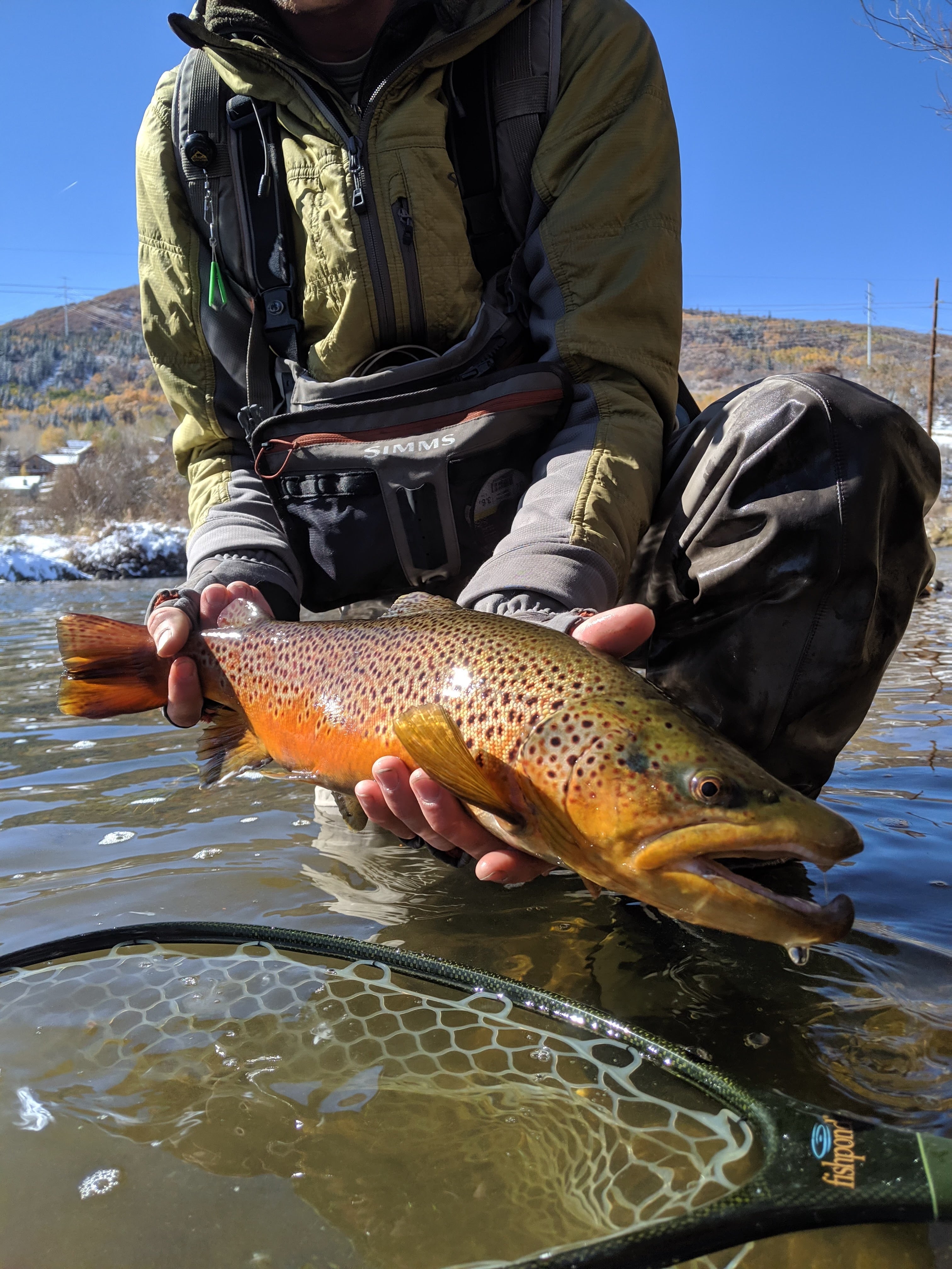 Longmont Fly Shop - Reels, Rods, Fly Line, Flies and More