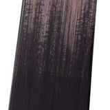 Rossignol Rallybird Soul 92 Ski