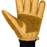 Auclair Outwest Glove