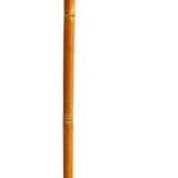 Grass Sticks Ski Poles