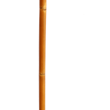 Grass Sticks Ski Poles