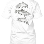 Fly Shop Longmont Colorado, Fly Fishing Longmont Colorado, Fly Shop, Rep Your Water, Big Three Tee, Fly Fishing