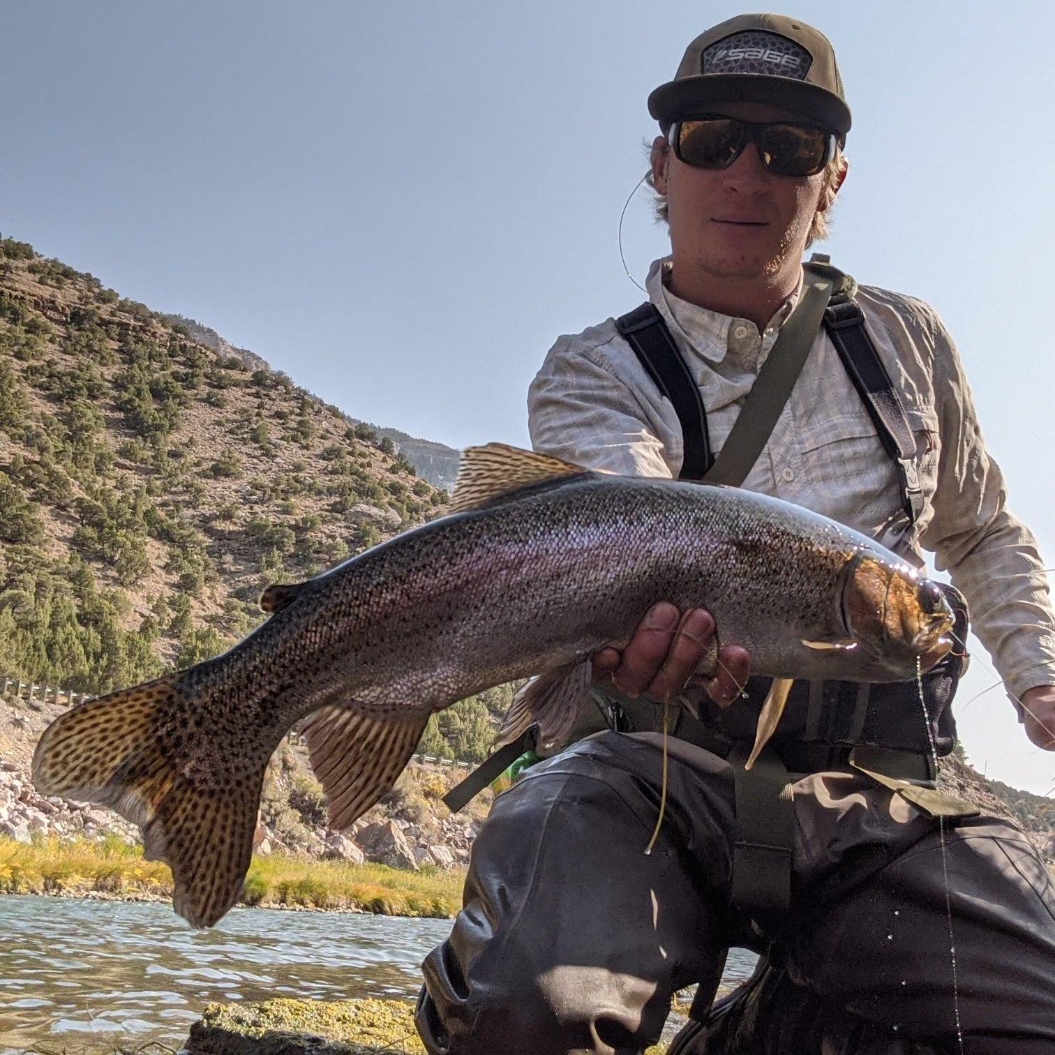 Top Fly Fishing Locations Near Longmont, Colorado