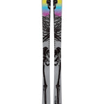 Lib Tech Hemi 102 skis 2027, topsheet
