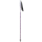Goode G Max Ski Poles
