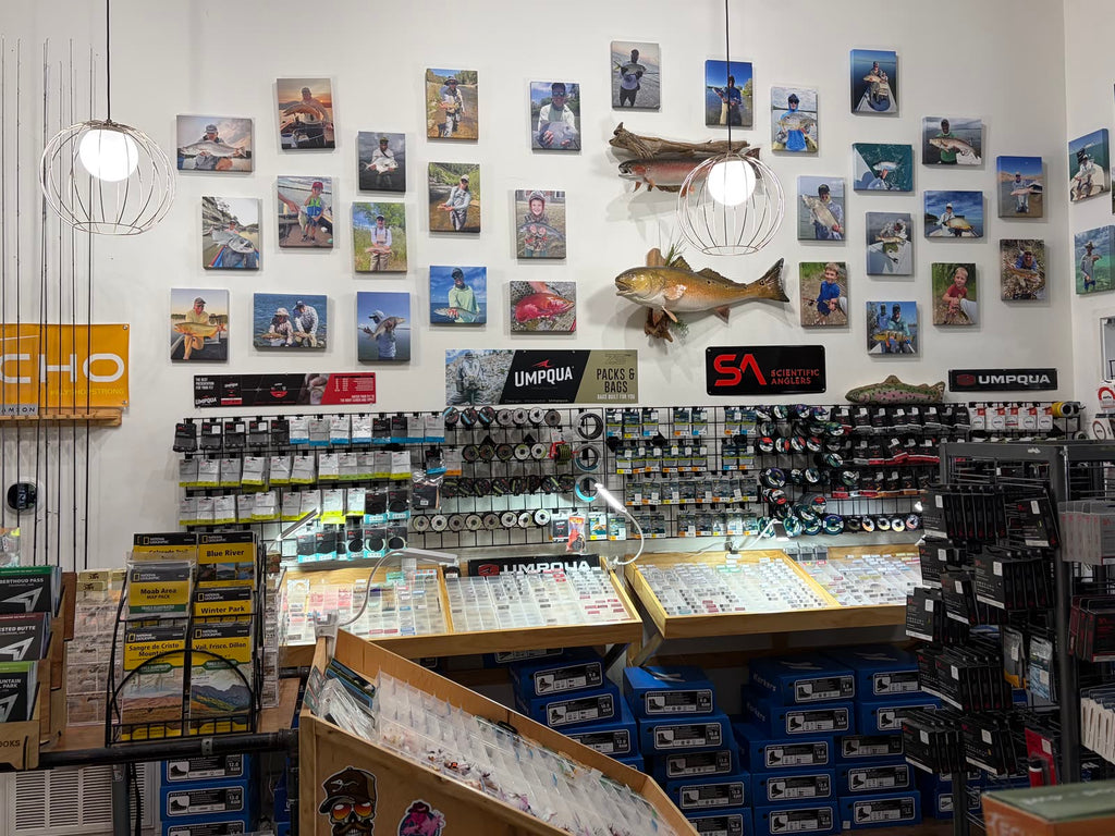 Fly Fishing