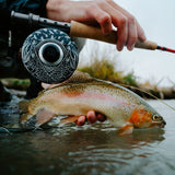 ROSS Reels San Miguel x Casey Underwood Ridge Risers Gloss Black Limited Edition