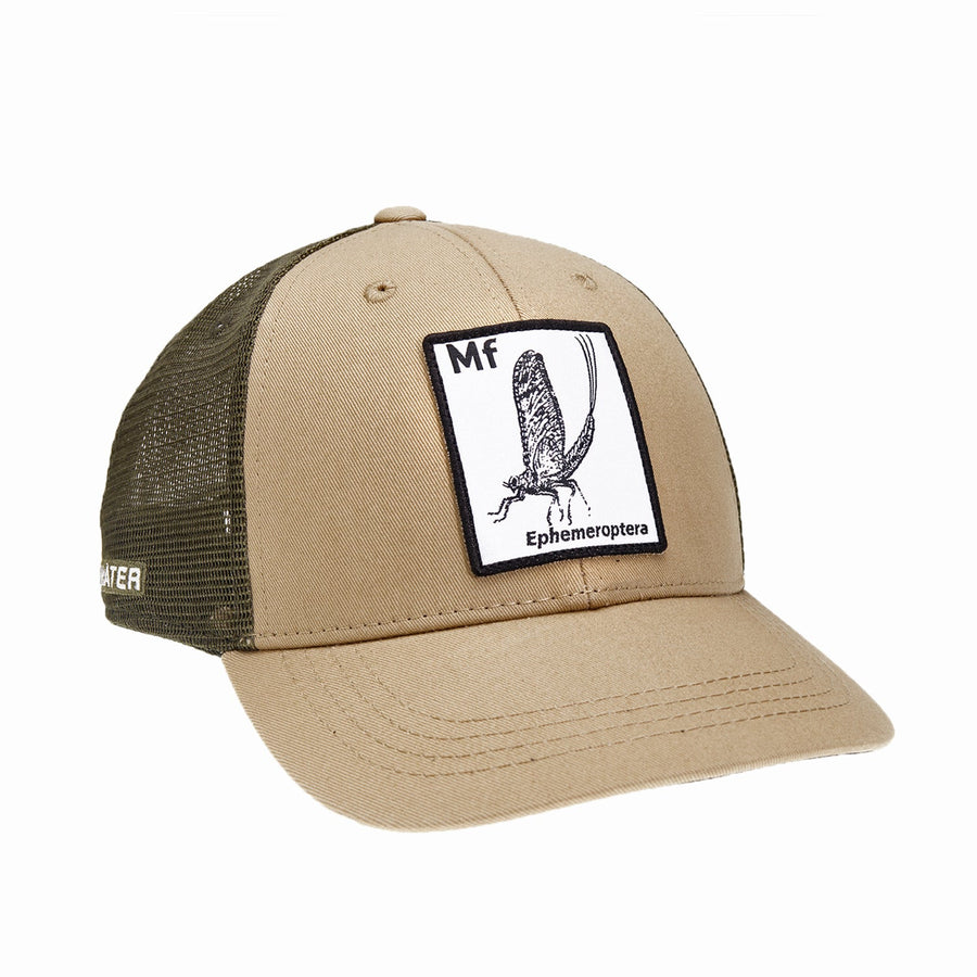 Rep Your Water - Periodic Mayfly Hat