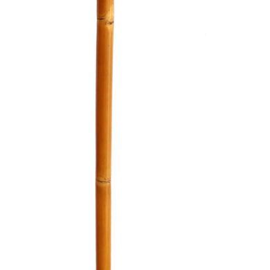 Grass Sticks Ski Poles