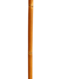 Grass Sticks Ski Poles