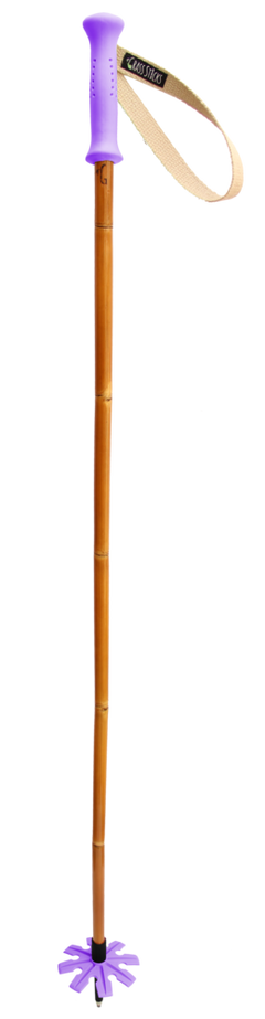 Grass Sticks Ski Poles