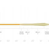 Scientific Anglers Mastery MPX Fly Line - Fly Fishing