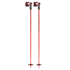 Leki Detect S Pole - Skiing